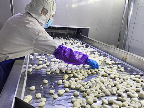 Water Chestnut Crop Information