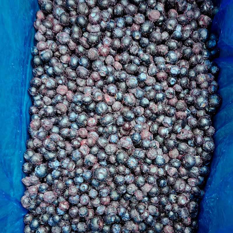 Arándanos congelados IQF - Yung Yong