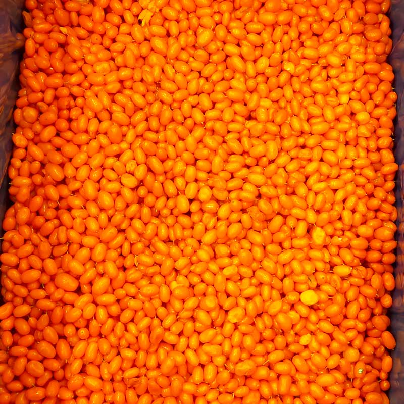 Espino amarillo congelado IQF - Yung Yong