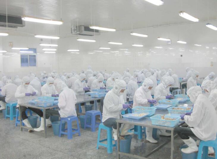 Una de nuestras plantas procesadoras de productos del mar: Longhai Oriland Seafood Co., Ltd.